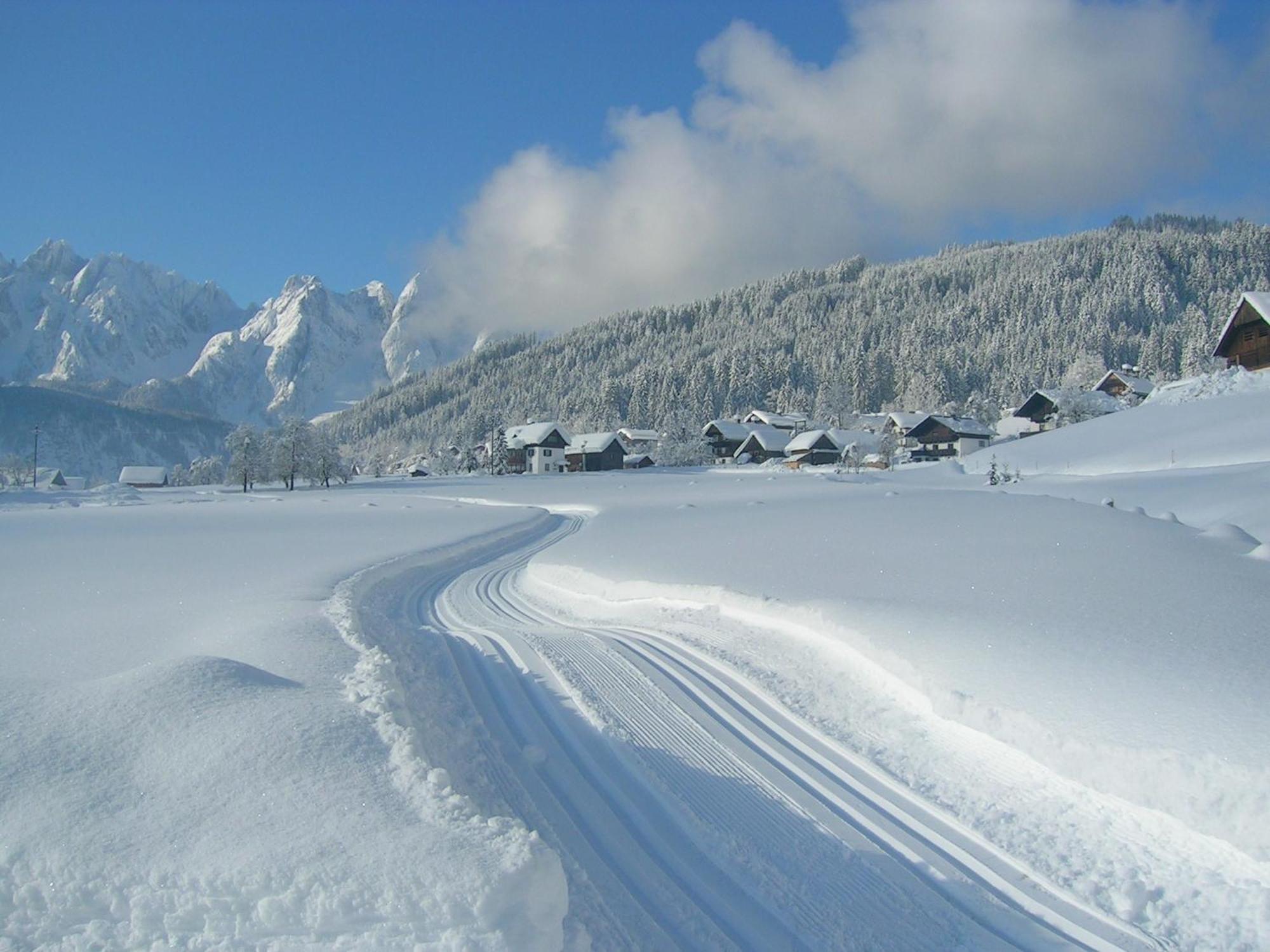 Privatzimmer Anneliese Hotel Gosau Exterior photo