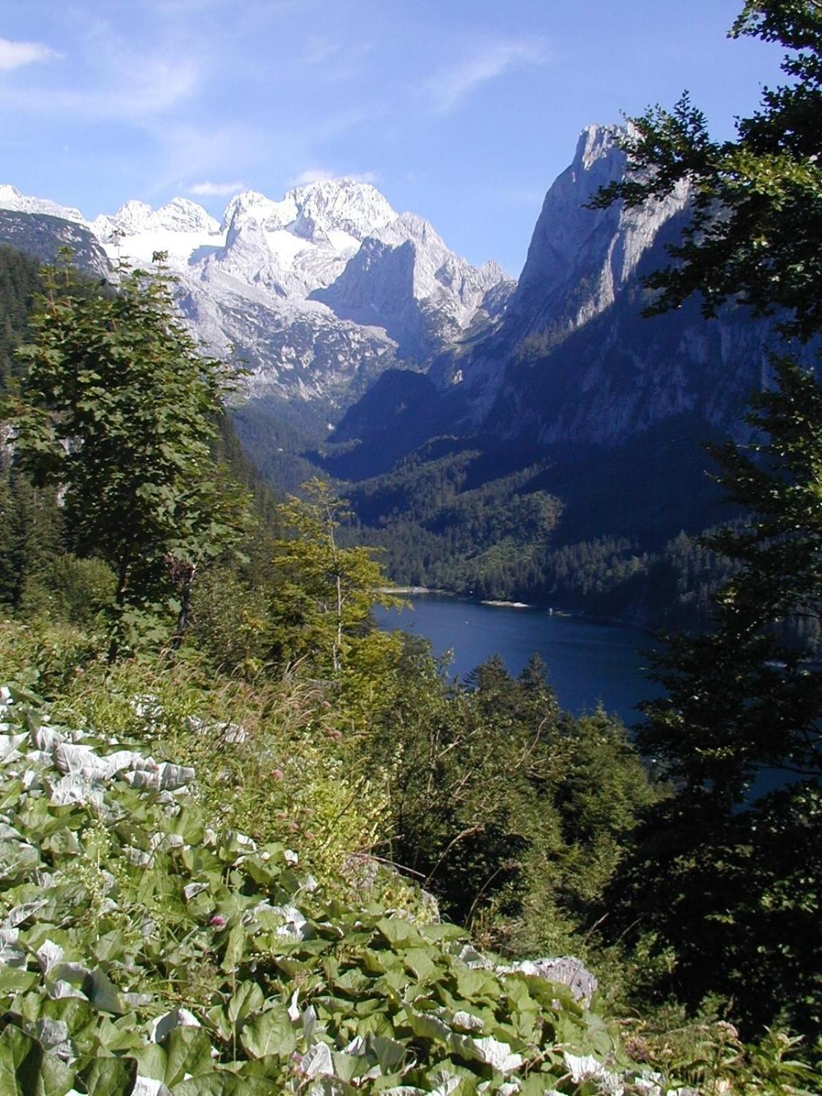 Privatzimmer Anneliese Hotel Gosau Exterior photo